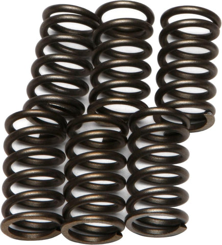 EBC - CSK10 - CSK Clutch Spring Kit 10% Stiffer Than Stock Springs