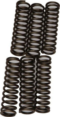EBC - CSK109 - CSK Clutch Spring Kit 10% Stiffer Than Stock Springs