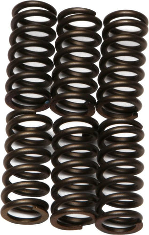 EBC - CSK11 - CSK Clutch Spring Kit 10% Stiffer Than Stock Springs