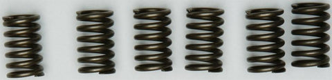 EBC - CSK131 - CSK Clutch Spring Kit 10% Stiffer Than Stock Springs