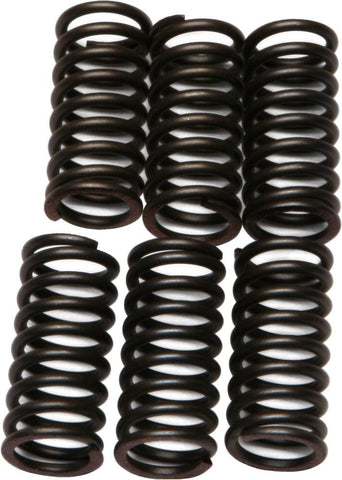 EBC - CSK24 - CSK Clutch Spring Kit 10% Stiffer Than Stock Springs