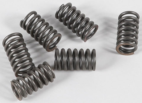 EBC - CSK31 - CSK Clutch Spring Kit 10% Stiffer Than Stock Springs