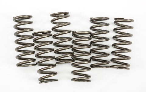 CLUTCH SPRINGS CSK221