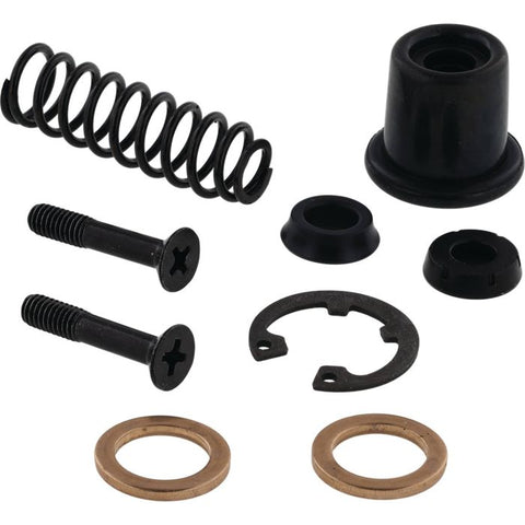Master cylinder rebuild kit components