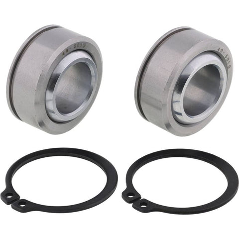 Swing Arm Bearing Kit components