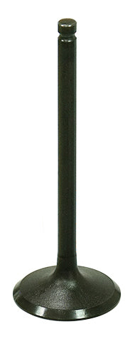 INTAKE VALVE