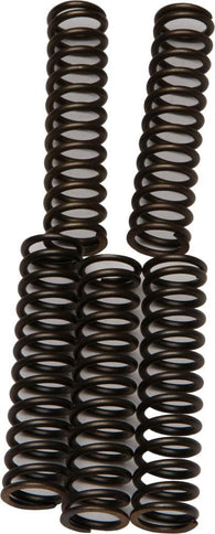EBC - CSK110 - CSK Clutch Spring Kit 10% Stiffer Than Stock Springs