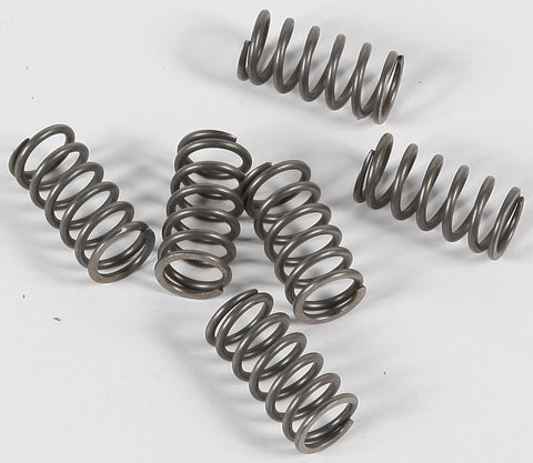 EBC - CSK158 - CSK Clutch Spring Kit 10% Stiffer Than Stock Springs