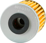 FP OIL FILTER 207