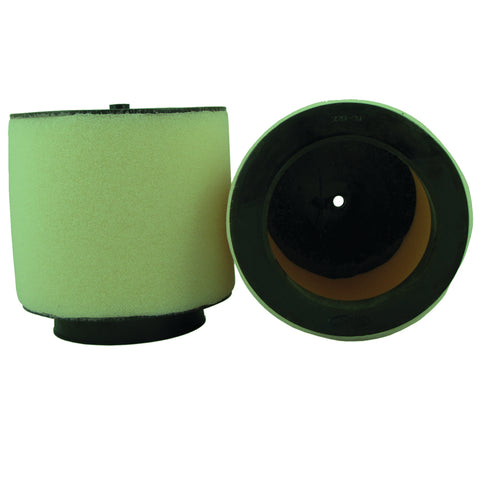 FAST FILTER HON ATV