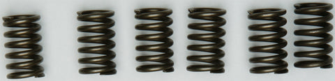 CLUTCH SPRINGS CSK131