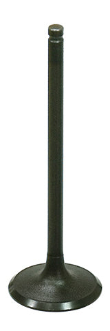 INTAKE VALVE