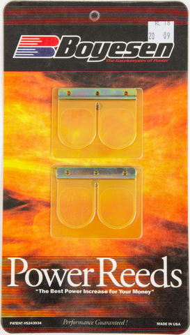 MOTORCYCLE RAD VALVE REEDS