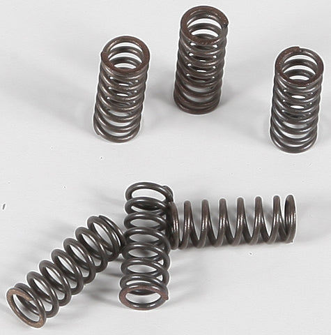 CLUTCH SPRINGS CSK39