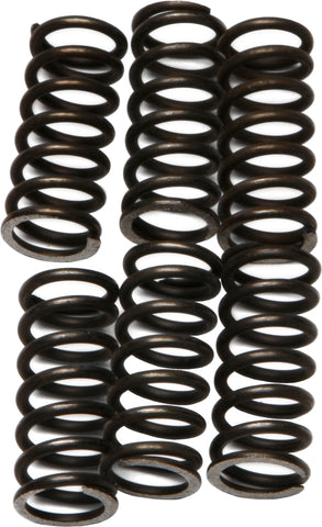 CLUTCH SPRINGS CSK46
