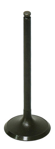 INTAKE VALVE