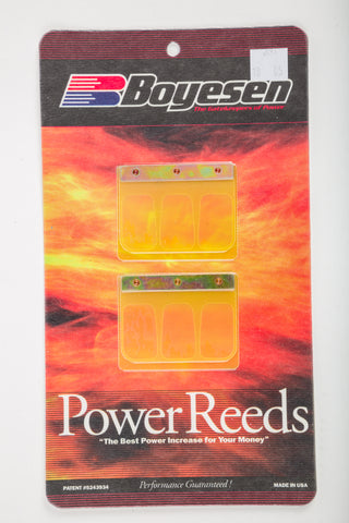 MOTORCYCLE REEDS