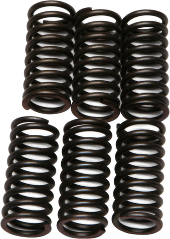 CLUTCH SPRINGS CSK24