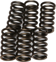 EBC - CSK10 - CSK Clutch Spring Kit 10% Stiffer Than Stock Springs