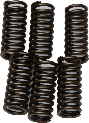 EBC - CSK102 - CSK Clutch Spring Kit 10% Stiffer Than Stock Springs