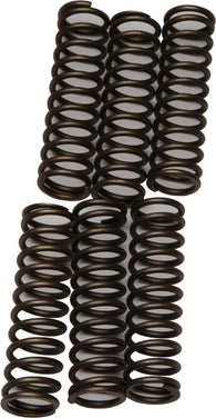 EBC - CSK109 - CSK Clutch Spring Kit 10% Stiffer Than Stock Springs