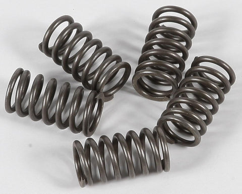 EBC - CSK118 - CSK Clutch Spring Kit 10% Stiffer Than Stock Springs
