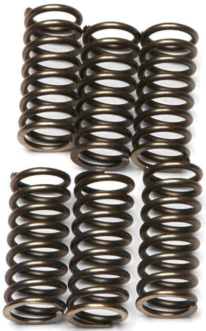 EBC - CSK120 - CSK Clutch Spring Kit 10% Stiffer Than Stock Springs