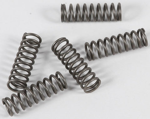 EBC - CSK124 - CSK Clutch Spring Kit 10% Stiffer Than Stock Springs