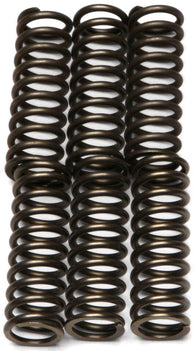 EBC - CSK125 - CSK Clutch Spring Kit 10% Stiffer Than Stock Springs