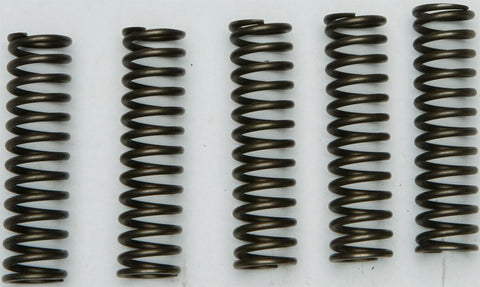 EBC - CSK128 - CSK Clutch Spring Kit 10% Stiffer Than Stock Springs