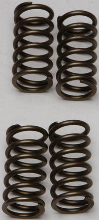 EBC - CSK142 - CSK Clutch Spring Kit 10% Stiffer Than Stock Springs