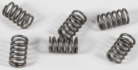 EBC - CSK161 - CSK Clutch Spring Kit 10% Stiffer Than Stock Springs