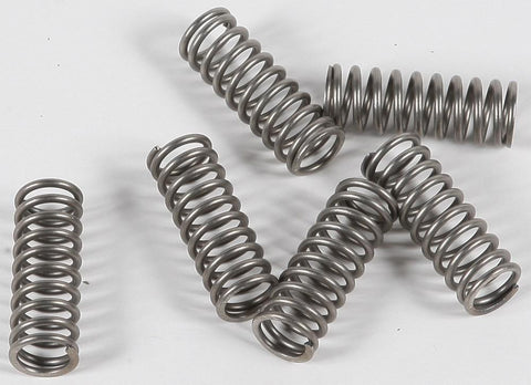 EBC - CSK164 - CSK Clutch Spring Kit 10% Stiffer Than Stock Springs
