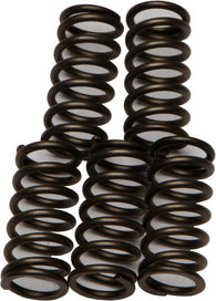 EBC - CSK176 - CSK Clutch Spring Kit 10% Stiffer Than Stock Springs