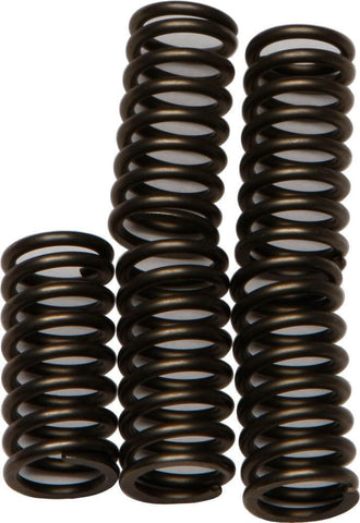 EBC - CSK179 - CSK Clutch Spring Kit 10% Stiffer Than Stock Springs