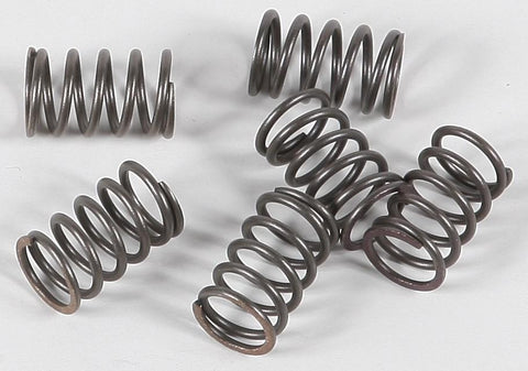 EBC - CSK18 - CSK Clutch Spring Kit 10% Stiffer Than Stock Springs