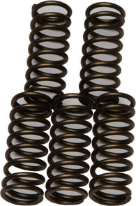 EBC - CSK180 - CSK Clutch Spring Kit 10% Stiffer Than Stock Springs