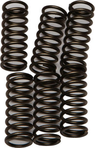 EBC - CSK184 - CSK Clutch Spring Kit 10% Stiffer Than Stock Springs