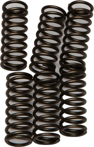 EBC - CSK184 - CSK Clutch Spring Kit 10% Stiffer Than Stock Springs