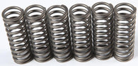 EBC - CSK186 - CSK Clutch Spring Kit 10% Stiffer Than Stock Springs