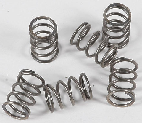 EBC - CSK197 - CSK Clutch Spring Kit 10% Stiffer Than Stock Springs
