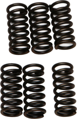 EBC - CSK2 - CSK Clutch Spring Kit 10% Stiffer Than Stock Springs