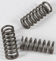 EBC - CSK202 - CSK Clutch Spring Kit 10% Stiffer Than Stock Springs