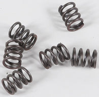 EBC - CSK21 - CSK Clutch Spring Kit 10% Stiffer Than Stock Springs