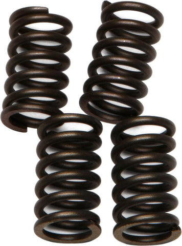 EBC - CSK26 - CSK Clutch Spring Kit 10% Stiffer Than Stock Springs