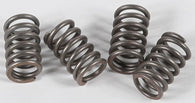 EBC - CSK3 - CSK Clutch Spring Kit 10% Stiffer Than Stock Springs