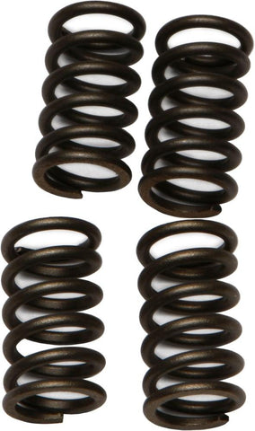 EBC - CSK4 - CSK Clutch Spring Kit 10% Stiffer Than Stock Springs