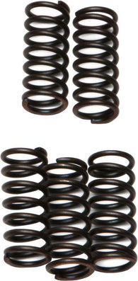 EBC - CSK42 - CSK Clutch Spring Kit 10% Stiffer Than Stock Springs