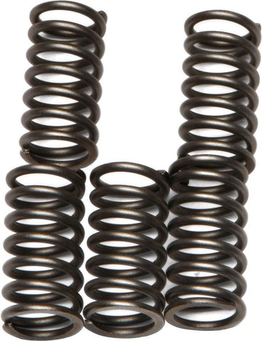 EBC - CSK56 - CSK Clutch Spring Kit 10% Stiffer Than Stock Springs