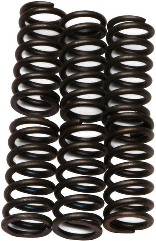 EBC - CSK6 - CSK Clutch Spring Kit 10% Stiffer Than Stock Springs